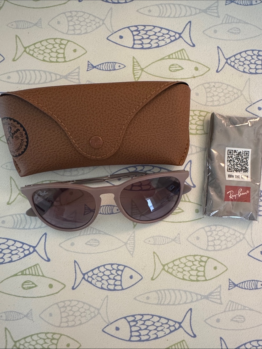Ray Ban Erika Classic